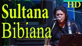 Sultana Bibiana  সুলতানা বিবিয়ানা  Live Concert  2023 [upl. by Fryd]