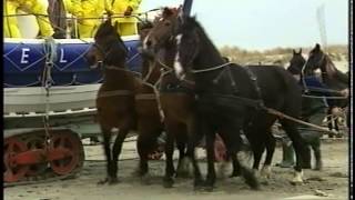 Paarden Reddingboot Ameland [upl. by Enedan223]