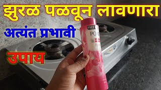 झुरळ घालवण्यासाठी अत्यंत प्रभावी उपाय  zural ghalvnyasathi gharguti upay  cockroach remove remedy [upl. by Zilla]