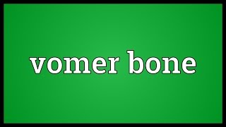 Vomer bone Meaning [upl. by Chasse]