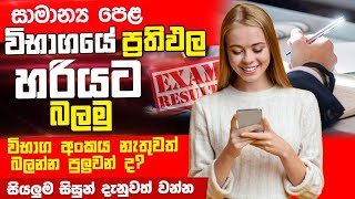 how to chek ol exam results sinhala  ol examination results  ol exam 20232024 ol results update [upl. by Monagan]