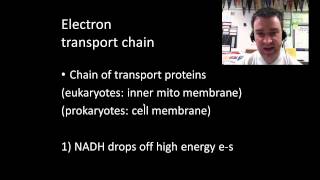 Cellular respiration part 2 [upl. by Asilet]