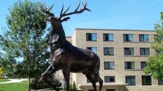 Fairfield University Campus Tour [upl. by Anuahc]