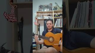 Final quotFuente y Caudalquot del maestro Paco de Lucia [upl. by Ygief]