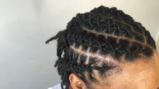 How To Retwist And Style Locs [upl. by Ahtabat718]