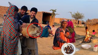 Evening Routine and Wild Cooking of Bauri Women  Village Lifestyle of Bauri tribes in Desert [upl. by Zaraf]