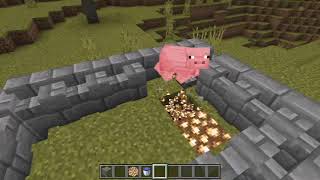 Build the Cutest Axolotl Pond in Minecraft [upl. by Malcolm122]