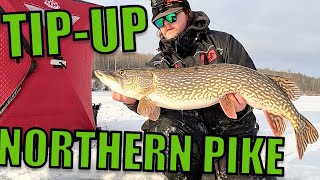 Ice Fishing for Northern Pike  TipUp Fishing [upl. by Yaker]