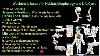 Classification general characteristics distribution Lifecycle mode of infection of wuchereria [upl. by Notlit]