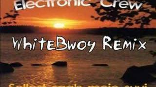 Electronic Crew  Sellest Saab Meie Suvi WhiteBwoy Remix [upl. by Adlihtam]