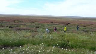 The Big Thaw GroundTruthing Permafrost in Alaska [upl. by Akeimahs815]