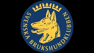 Om Svenska Brukshundklubben [upl. by Najtsirk]