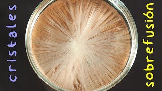 Sobrefusión o Superenfriamiento con Acetato de Sodio Crislalización [upl. by Eddina4]