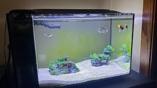 The Fluval Evo 135 Lives [upl. by Asirehc248]