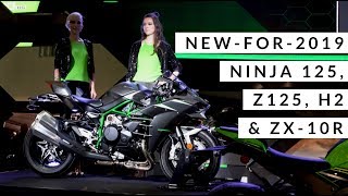 New Kawasaki models revealed for 2019  H2 Z125 ZX10R amp Ninja 125  INTERMOT Köln [upl. by Alemac740]