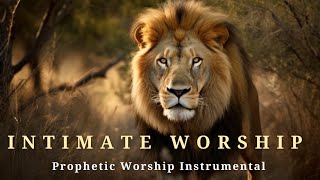 Prophetic Warfare Instrumental Worship INTIMATE WORSHIP THE HOLY SPIRITBackground Prayer Music [upl. by Lemhar]