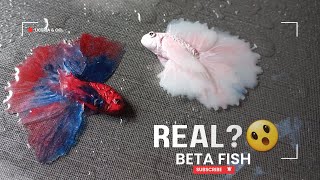 Amazing Resin Art  Is Beta Fish Real  DIY Easy Resin Class 3 diy resinart betafish tutorial [upl. by Lleynad535]