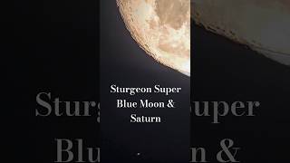 I captured the magnificent event of Sturgeon Super Blue Moon in a celestial glide with Saturn [upl. by Ila]