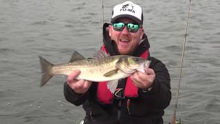 Branzino the Challenge 2019 Fishing TV [upl. by Eki]