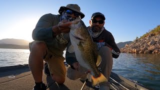 BIG Bass at Bartlett Lake [upl. by Edahsalof17]