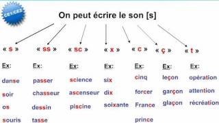 Mots avec le son s au CE2 CE1 FLE [upl. by Koosis51]