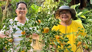 NAGKASUNDO NA MALINAW NA FARM TOUR na sa kanyang NATURAL FARMING [upl. by Marrin]