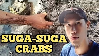 Episode  8 Paghuli Ng Crabs crabs alimango [upl. by Ayanahs]