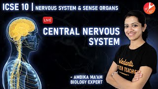 Nervous System and Sense Organs Class 10 L1  Central Nervous System ICSE Biology  Vedantu Class 10 [upl. by Elohcan]