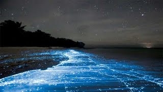 Mumbais Juhu Beach water light up with neon lights [upl. by Narag411]