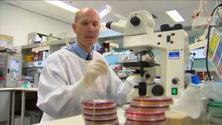 Day in the Life  Microbiology  Virology  Prof Bill Rawlinson [upl. by Akinuahs]