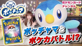 【公式】ポケカチャンネルにポッチャマがやってきた！ポッチャマデッキでバトル実現！？【ポケモンカードプロジェクトポッチャマ】 [upl. by Cynthea767]