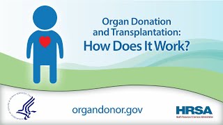 Organ Donation and Transplantation How Does it Work [upl. by Assilav]