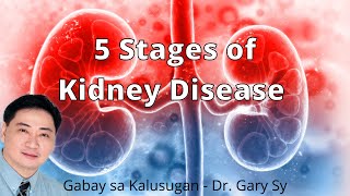 5 Stages of Kidney Disease  Dr Gary Sy [upl. by Esinyt938]