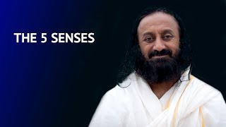 Importance of controlling the 5 senses  Talk by Gurudev Sri Sri Ravi Shankar [upl. by Leterg]