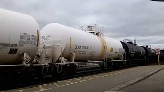 CN 397 w CN Engines 8011 8809 amp 5659 lead this long 718 axle WB Mixed Freight train by Georgetown [upl. by Zavras]