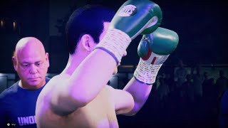 Undisputed Boxing Roy Jones JR VS JOE CALZAGHE multiplayer gameplay [upl. by Aaronson]