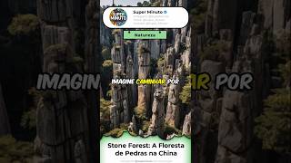 Stone Forest A Misteriosa Floresta de Pedras na China [upl. by Darline932]