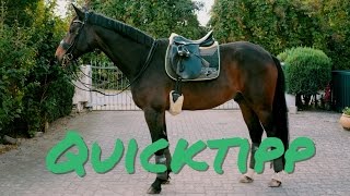 Quicktipp Schabracke enthaaren I Endlich ein Intro [upl. by Lerim436]