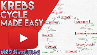 KREBS CYCLE MADE SIMPLE  TCA Cycle Carbohydrate Metabolism Made Easy [upl. by Annayar493]