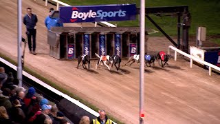 2024 BoyleSports Irish Greyhound Derby Consolation and Derby Plate [upl. by Elbam]