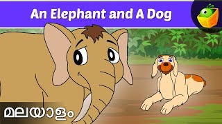 Elephant And The Dog  Jataka Tales In Malayalam  Magicbox Malayalam [upl. by Sonia]