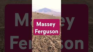 Massey ferguson shortvideo trending shorts [upl. by Trent661]