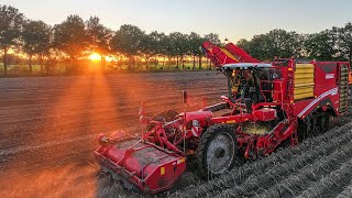 Grimme Varitron 470 TT  Agro Graafstra  Aardappels rooien  DJI Mavic 3 Pro drone  Sunset [upl. by Huckaby]