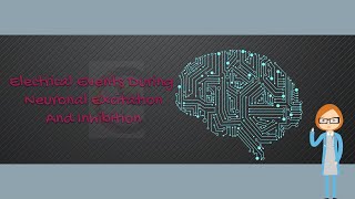 Electrical Events During Neuronal Excitation and Inhibition [upl. by Eiboj850]