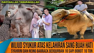 MASYAALLAH Wujud Sukur Ats Kelahiran Si Kembar Syahrini amp Reino Barrack Qurban 10 Sapi bobot 10 ton [upl. by Salzhauer870]