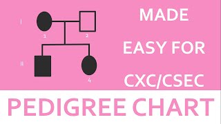 Simplified Pedigree chart  CSEC BIOLOGY TCP [upl. by Gomer]