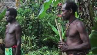 “Planem Navota” Ceremony at Fanafo Indigenous Kastom Day 2014 Espiritu Santo Vanuatu [upl. by Strauss837]