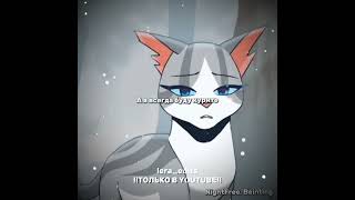 Среди тысячиwarrior cats editIvypool and Bristlefrost edit edit warriorcats котывоители cat [upl. by Onirotciv]