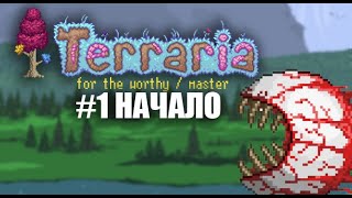 ЗАПУСКАЕМ СЕРВЕР  КООП  FOR THE WORTHY  MASTER  TERRARIA [upl. by Ehcrop226]