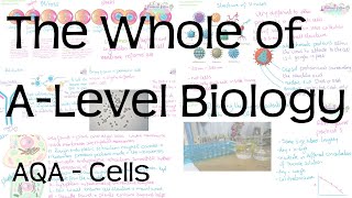 The Whole of AQA ALevel Biology Topic 2  Cells [upl. by Ilyssa]